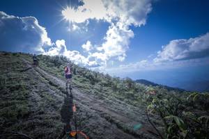 BIB: 5085
                            <button type="button" onclick="openModal(15955397)" class="btn btn-primary btn-sm float-right btn-popup" data-toggle="modal" data-target=".modal-high-quality">
                        <i class="fas fa-shopping-cart"></i> Add to Cart
                    </button>
                                            <button type="button" onclick="isThisMe(15955397, true)" class="btn btn-success btn-sm float-right btn-popup btn-isme hidden" data-toggle="tooltip" data-placement="bottom" title="นี่คือรูปของคุณใช่ไหม คลิกที่นี่เพื่อเอาเข้าอัลบั้ม">
                        <i class="fas fa-plus"></i> Add to album
                    </button>
                    <button type="button" onclick="isThisMe(15955397, false)" class="btn btn-warning btn-sm float-right btn-popup btn-isnotme hidden">
                        <i class="fas fa-ban"></i> Remove from album
                    </button>